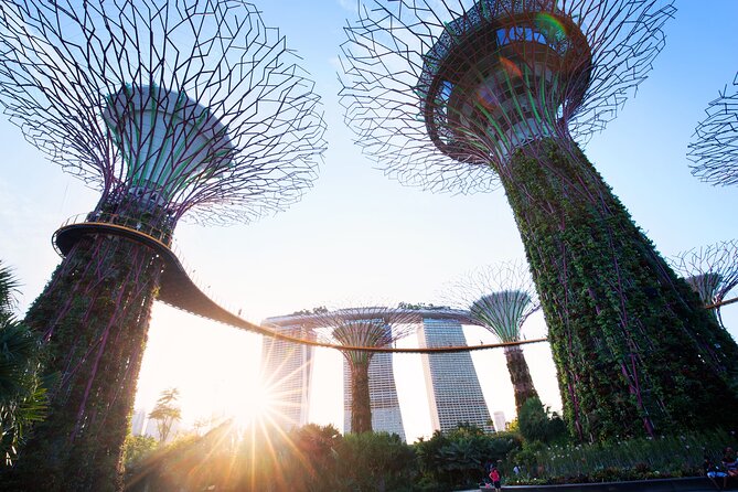 2-4 days in Singapore Guided Tour Pass - Jewel Changi shows Singapore’s practical imagination