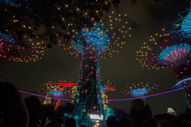2 Pax Bundle Singapore River Cruise and Stunning Light Shows - What the $72.64 price means