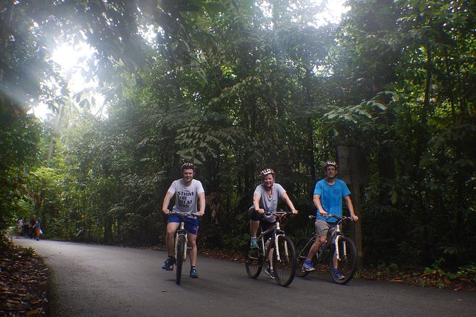 4 Hours Cycling in the Nature at Pulau Ubin Singapore - Group size and guide style