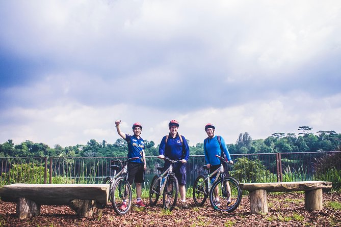 4 Hours Cycling in the Nature at Pulau Ubin Singapore - A four-hour route shaped by weather and trail conditions