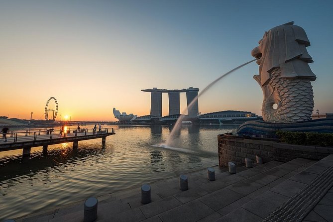 6 Hours - Singapore Tour in Private Car or Minibus with Driver - China Square and Chinatown’s temple