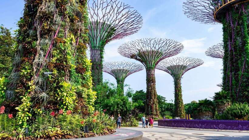 Best of Singapore: Private Walking Tour with a Local - A private introduction to Singapore for $29