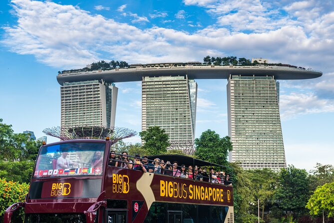 Big Bus Singapore Hop-On Hop-Off Tour - Who should book the Big Bus Singapore tour?