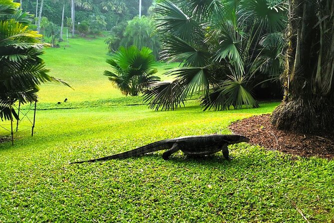 Botanic Gardens & Tiong Bahru Walking Tour with Breakfast - What the $55.59 price gets you