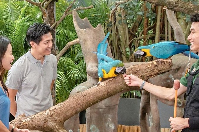 Breakfast In the Wild at Singapore Zoo Promo - Booking, confirmation, and cancellation details