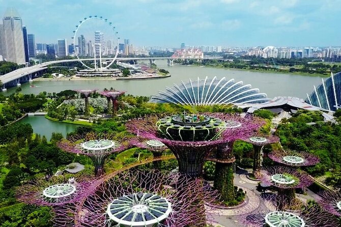City Tour+Gardens by the Bay(FlowerDome&JurassicWorld) Transfers - Cloud Forest Is the Strongest Part of the Visit