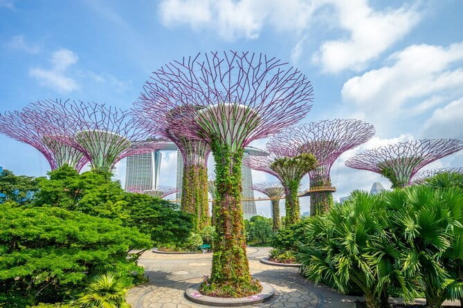 eSIM 4G/5G Data for Asia 8 Areas Singapore Thailand MY VN HK TW - Who will get the most from this plan