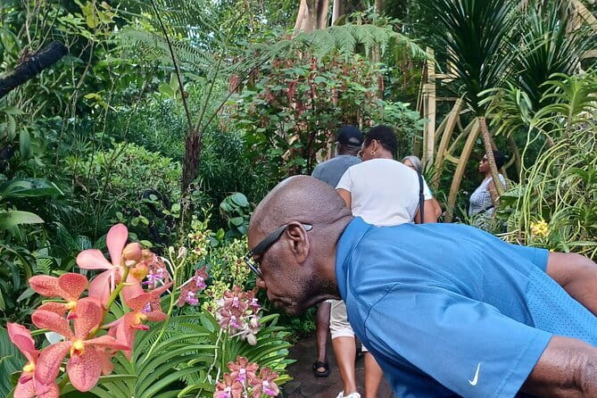 Exclusive Private Tour by a Singaporean Guide - Mount Faber and the optional route into Sentosa