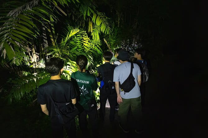 Explore a Rainforest teeming with Wildlife at Night! - Why Singapore’s forest is worth seeing after dark
