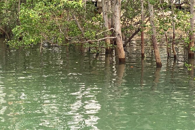 Exploring Singapore’s Forgotten Hills - Labrador Nature Reserve and the old coastal fort