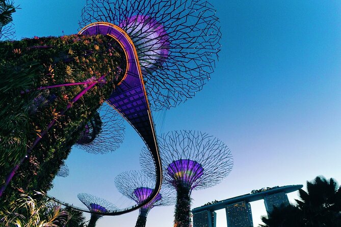 Fabulous Night-Out Private Tour in Singapore - Gardens by the Bay is the visual centerpiece