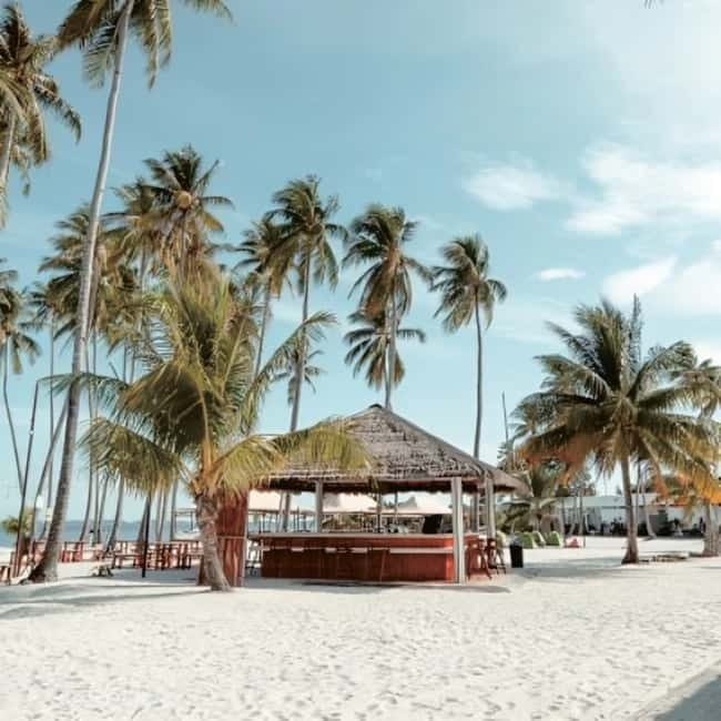 From Singapore : Private Batam Island Snorkeling and Canoe - Lunch, beach time, and land-based activities