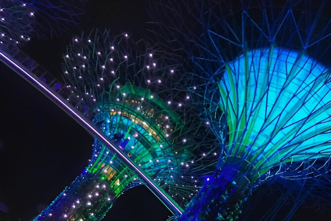 Garden by the Bay Singapore combo - Flower Dome’s nine regional gardens