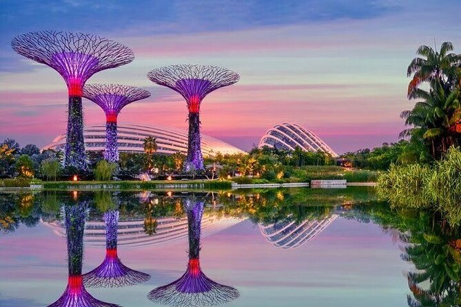 Gardens by the Bay E - Ticket with Flower Dome +CF Singapore - Flower Dome’s Glass World