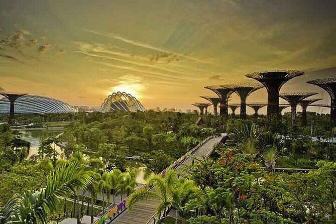 Gardens by the Bay E - Ticket with Flower Dome +CF Singapore - A Night Return for the Free Light Show