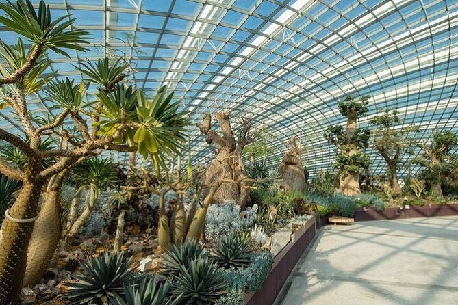 Gardens by the Bay E - Ticket with Flower Dome +CF Singapore - Who Will Get the Most From This Visit