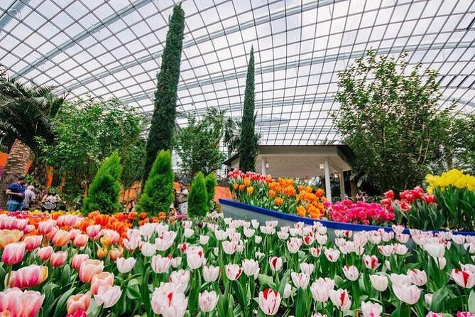Gardens by the Bay E - Ticket with Flower Dome +CF Singapore - Cloud Forest and the Indoor Waterfall