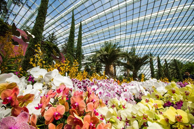 Gardens By the Bay Exp Event - Supertrees, lakes, and the outdoor gardens