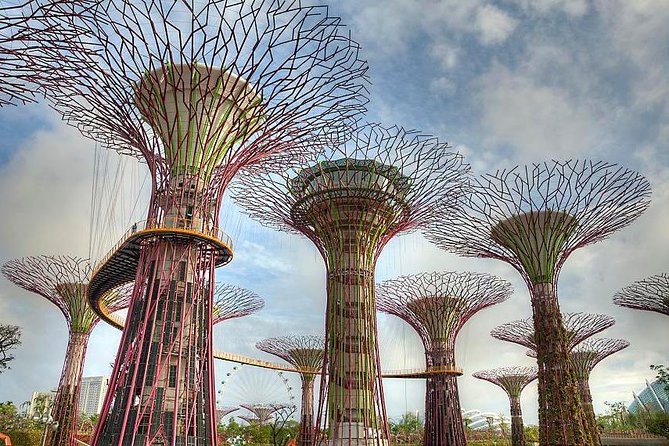 Gardens By the Bay Exp Event - Price and overall value at $57.97