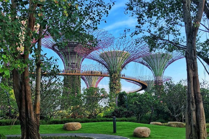 Gardens by the Bay Guided Tour - Why Gardens by the Bay works well as a guided visit