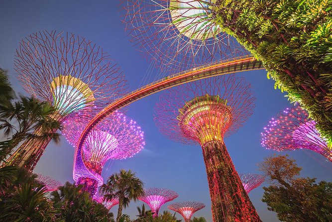 Gardens by the Bay with 2 Flower Dome + Marina Bay Sands Skypark - A five to six-hour route through Singapore’s futuristic center