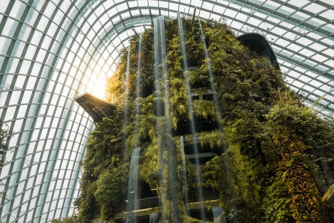 Gardens by the Bay with 2 Flower Dome + Marina Bay Sands Skypark - Supertrees after sunset and the free light show