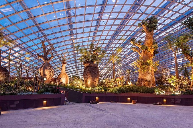 Gardens by the Bay with 2 Flower Dome + Marina Bay Sands Skypark - Transport, group size, and the guide question