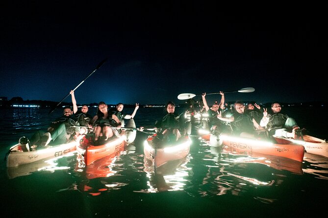 Glow Kayak Night Adventure in the Mangroves - Wildlife spotting without a zoo-style guarantee