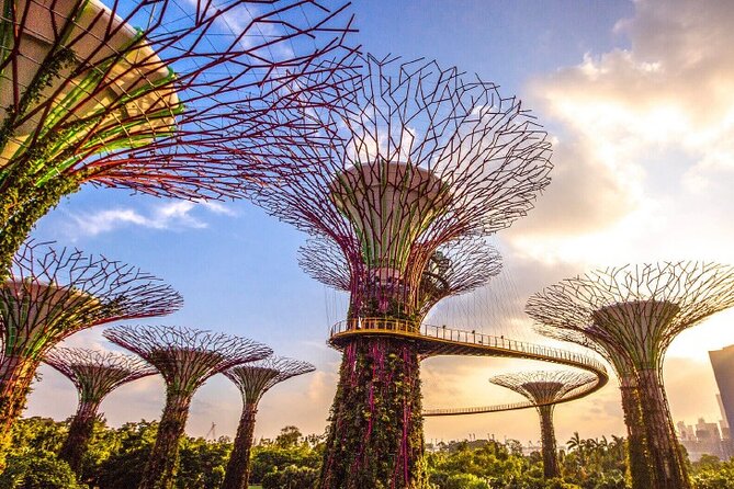 Half Day Private Guided Tour through Singapore's Iconic Landmarks - What the private vehicle changes