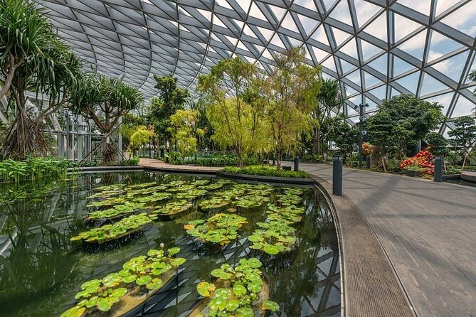 Jewel Changi Airport: Canopy Park Admission Ticket - Optional attractions and what is not clearly included