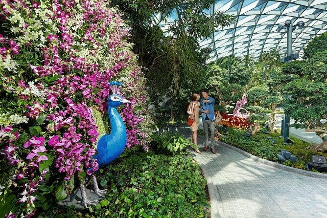Jewel Changi Airport: Hedge Maze and Canopy Park Ticket - Starting at the Level 1 Concierge counter