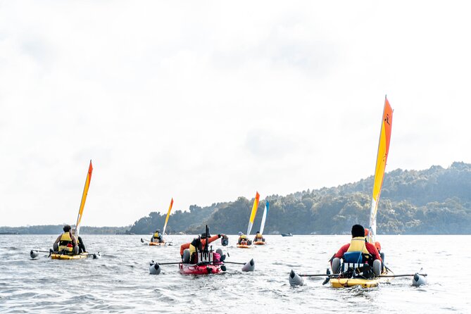 Kayak Sailing in Singapore, Mangrove, Kelong & Pulau Ubin, Seafood Meal Included - What the pedal-powered Hobie kayak is like