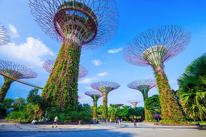 Kickstart Your Trip To Singapore With A Local: Private & Personalized - What the $132.67 price buys you