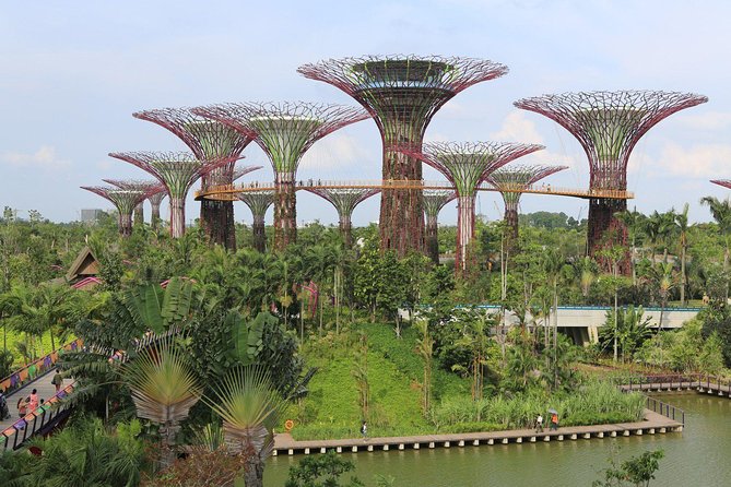 Lion City Night Out + Roundtrip Transfers - Key points before you book