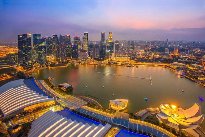Lion City Night Out + Roundtrip Transfers - Gardens by the Bay and the short Supertree show