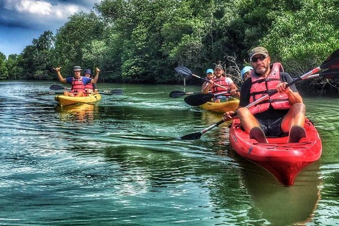 Mangrove Kayaking Adventure in Singapore - Safety first, then your first paddle strokes