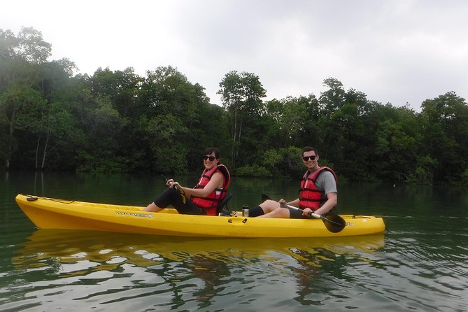 Mangrove Kayaking Adventure in Singapore - Wildlife watching without unrealistic promises
