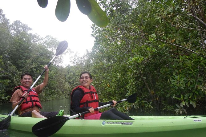 Mangrove Kayaking Adventure in Singapore - What to bring, and what the operator supplies