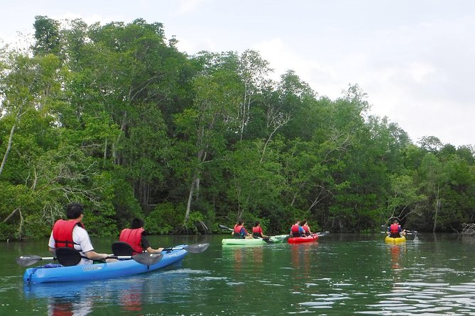 Mangrove Kayaking Adventure in Singapore - Is $85.59 a fair price?