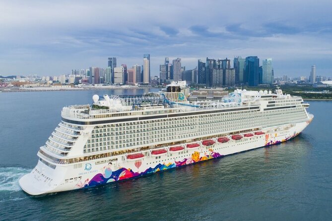 Marina Bay Cruise Centre or SCC to Changi Airport Transfer - Who should book this airport transfer
