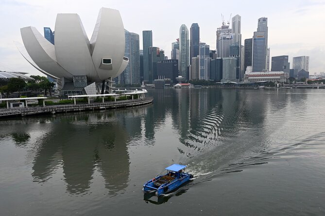 MBCC & HFCC - Cruise Terminal to City Hotel Transfer - Delays, wrong ports, and the communication question