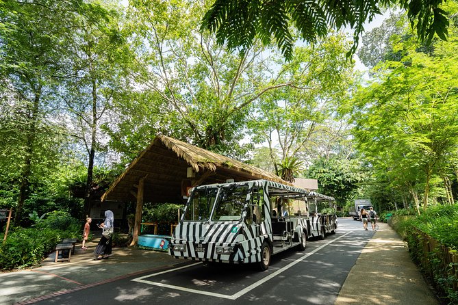 Morning at the Zoo with 1-way Transfer (Free & Easy) - The morning begins with a long ride to Mandai