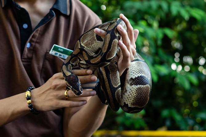 Morning at the Zoo with 1-way Transfer (Free & Easy) - The zoo is worth visiting even without breakfast