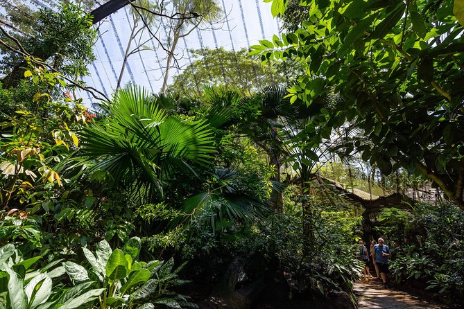 Morning at the Zoo with 1-way Transfer (Free & Easy) - What the $87.07 price really buys