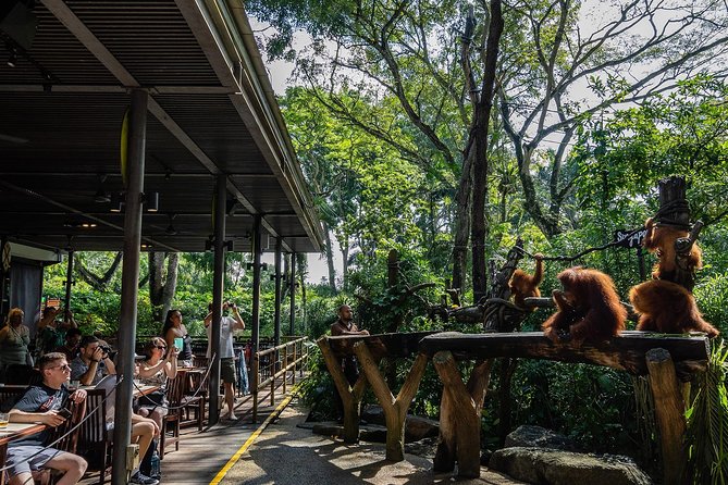 Morning at the Zoo with 1-way Transfer (Free & Easy) - Who should choose this morning tour?