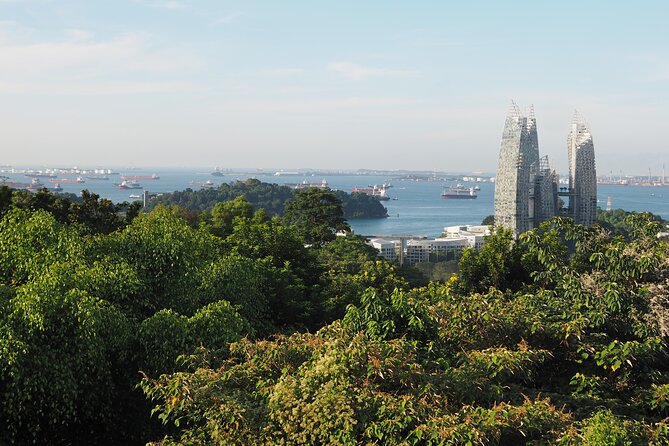 Mount Faber, Henderson Waves and Southern Ridges Tour - Why this two-hour walk offers a different Singapore
