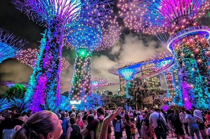 Night out with 6 Food Tastings, Spectra & Garden Rhapsody Shows - Garden Rhapsody beneath the Supertrees