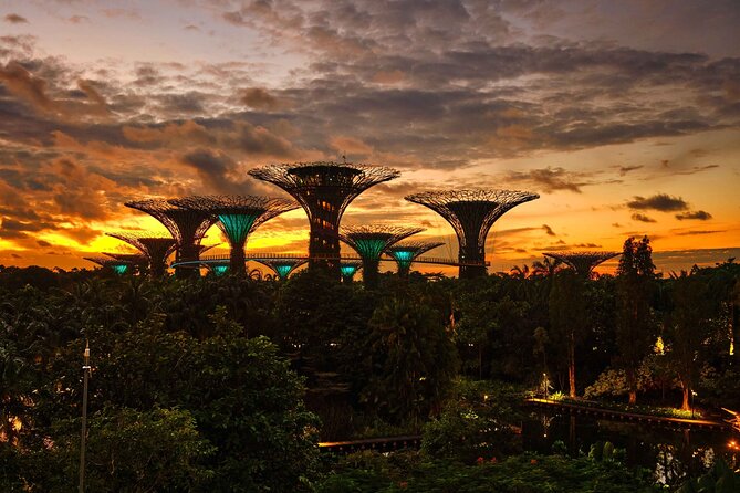 Night out with 6 Food Tastings, Spectra & Garden Rhapsody Shows - Finishing at Marina Bay Sands