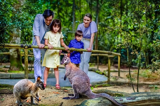 Night Safari Singapore Skip the Line Tickets with Tram Ride - Planning the visit without overcomplicating it