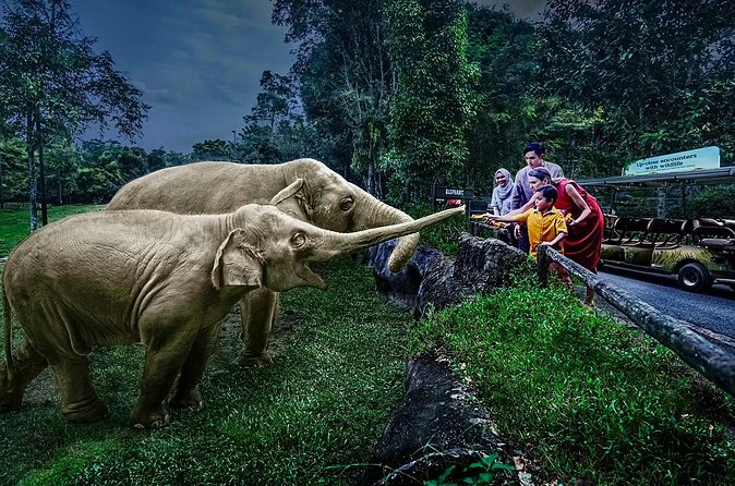 Night Safari Tickets with Tram Ride - Who will enjoy this evening most